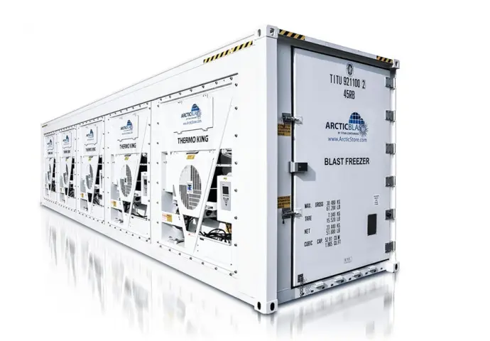 ArcticBlast – Depozitare la rece. Containere frigorifice.