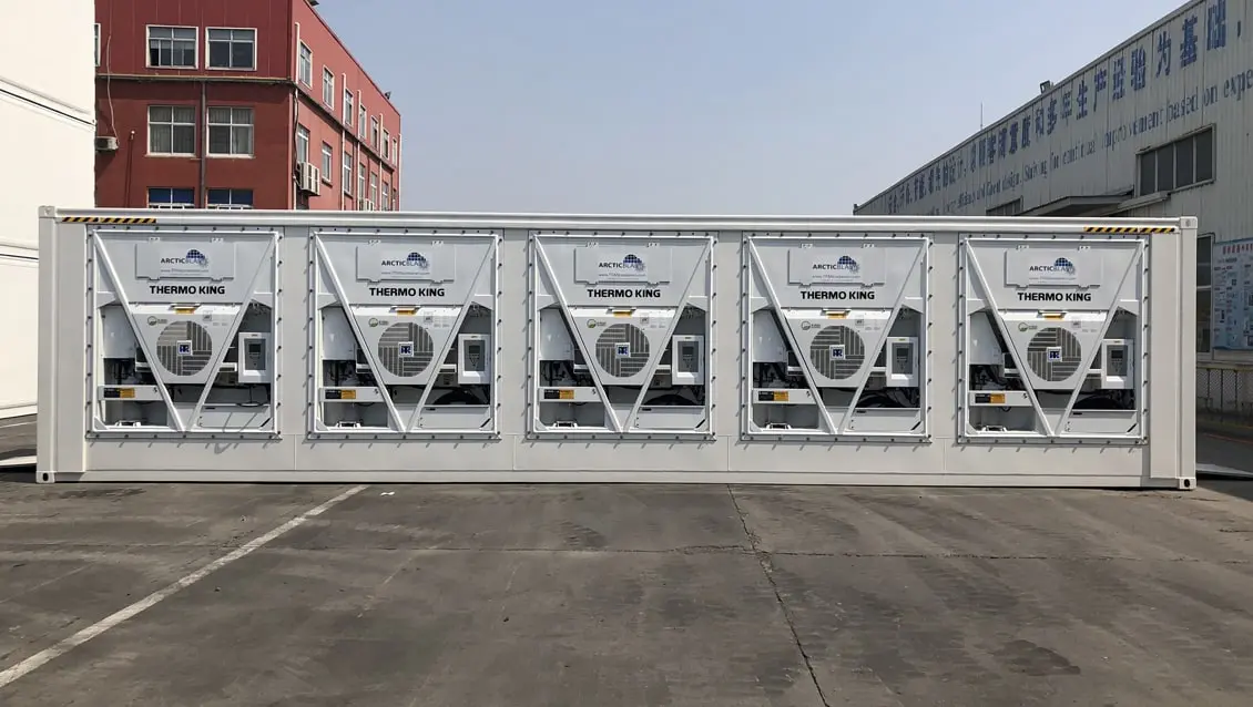 Container frigorific Arctic Blast de 40 ft pentru închiriere - Depozitare cu răcire rapidă