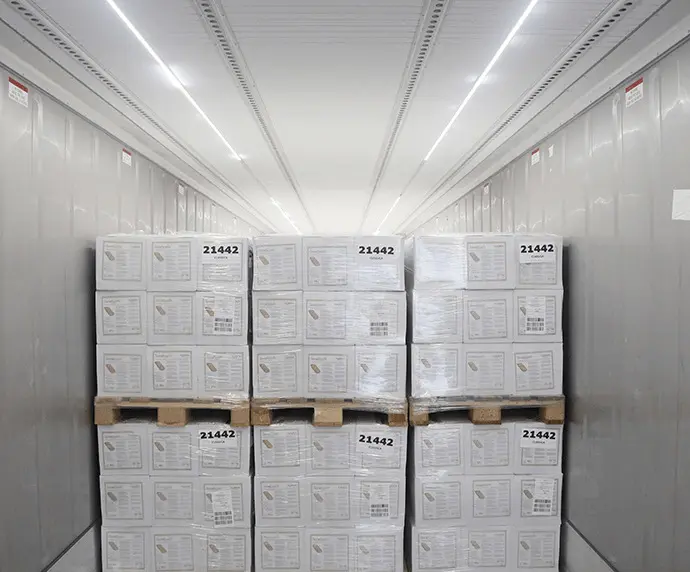 Lumini – Accesorii pentru containere