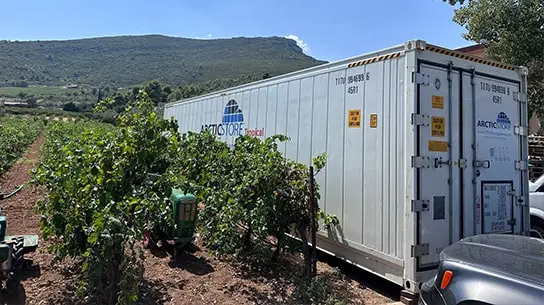 Depozitare la rece ArcticStore pentru cramele din Grecia – Containere frigorifice