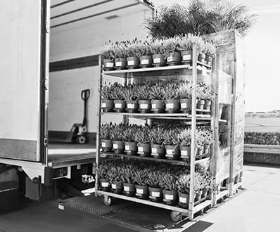 Sectorul agricol – depozitare la rece