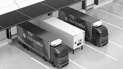 Sectorul logisticii lanțului frigorific