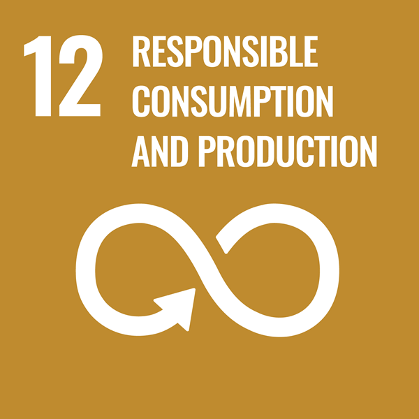 Obiectivul 12: Consum și producție responsabile